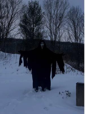 Gonna put you on ice 👻❄️ #scream #ghostface #horrortok #screammovie #ghostfacescream #ghostfacecosplay #ghostfacemask #mask #cosplay #maskedmen #BookTok #foryou #fyp #cosplayer #horror #scream7 #snow 