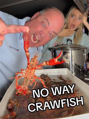 Now you know how to clean crawfish! 🦞@UncleBubblegum #viral #crawfish #crawfishboil #seafood #fyp #southernliving Crawfish count, counting crawfish, crawfish prep, crawfish boil, seafood boil, crawfish tally, how to count crawfish, backyard crawfish boil, Louisiana crawfish, crawfish boil traditions, crawfish pot, seafood cooking, crawfish boil tips, fresh crawfish, live crawfish prep, crawfish haul, crawfish estimate, crawfish boil guide, seafood feast, southern crawfish, crawfish size, boiled crawfish, crawfish boil hacks, Cajun crawfish boil, crawfish cooking, seafood count, live crawfish, crawfish pile, crawfish boil entertainment, crawfish weigh-in, crawfish fun facts, crawfish trivia, New Orleans, Nola, 504, Crawfishgirl, crawfish girl  #cooking #recipes #education Louisiana, Mardi Gras, Mardi Gras szn, crawfish szn, crawfish season, Mardi Gras 2025, Super Bowl, superdome, Purging crawfish, cleaning crawfish, crawfish boil, crawfish boil recipe, seafood boil recipe, crab boil, how to do a crab boil, boiled shrimp, how to boil crawfish, crawfish prep, preparing crawfish, clean seafood, crawfish seasoning, seafood boil prep, crawfish boil ingredients, seafood boil steps, perfect crawfish boil, boiled crab, shrimp boil, crab boil recipe, how to boil shrimp, boiled seafood, Louisiana crawfish, southern crab boil, Cajun crawfish boil, shrimp boil recipe, seafood cooking, crawfish boil hacks, crab boil seasoning, shrimp boil seasoning, seafood boil spices, seafood boil tutorial, backyard seafood boil, crawfish boil essentials, seafood boil must-haves, purging live crawfish, seafood boil cleaning, shrimp boil tips, crab boil instructions, seafood boil guide, Cajun seafood boil, crawfish boil success, boiled seafood how-to, seafood boil perfection, southern seafood traditions, seafood boil techniques, seafood boil menu, crab boil party, crawfish boil checklist, shrimp boil how-to, crawfish dipping sauce, crawfish boil must-know, seafood boil pot setup, seafood boil methods, crab boil pot, how to boil crab, crawfish boil tips and tricks, seafood boil sides, perfect seafood boil, crawfish boil flavor, crawfish boil tradition, boiling shrimp guide, seafood boil process, Cajun shrimp boil, crab and shrimp boil, seafood boil extras, southern-style seafood boil, crawfish boil menu ideas, easy seafood boil recipe, boiled seafood seasoning, crawfish boil setup, seafood boil crowd-pleasers, seafood boil for beginners, how to season seafood boil, authentic seafood boil, purge crawfish, how to purge crawfish, salt on crawfish, how to boil crawfish