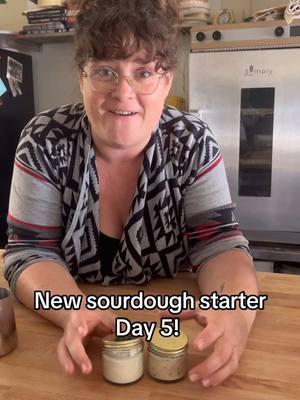 Creating a new sourdough starter, day 5! #breadtok #fyp #newsourdoughstarter #startercare #startertips #starterday5 #sourdoughstarter 