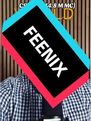 #FEENIX is far superior to #CSWAP #chainswap. I have little doubt that it will outperform. #fyp #cryptok #crypto #altcoin #altcoins Like I said in the video, I'm working with FEENIX and this is a partnered post.