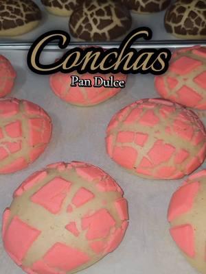 Conchitas😋😋😋 #pandulce ##panhechoencasa  #mifavorito ##aprendiendohacerpan 