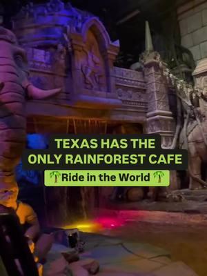 TEXAS HAS THE ONLY RAINFOREST CAFÉ RIDE IN THE WORLD! 🌴 Get ready for an exciting adventure at the world's only water ride located beneath the @Rainforest Cafe in Galveston, TX! The rainforest jungle filled with exotic animals, featuring twists and turns. We loved it so much & it’s perfect for all ages! 🌴 Open 7 days a week 🦍 $10 per person, kids under 2 free You don’t have to dine at the restaurant to enjoy this amazing ride! Tag someone you want to experience this hidden gem with!🌴 . . . . #hiddengem #texastodo #galveston #galvestontx #texas #texastravel #texas #thingstodoingalveston #thingstodoinhouston #visittexas #texasvacation #houstontx  