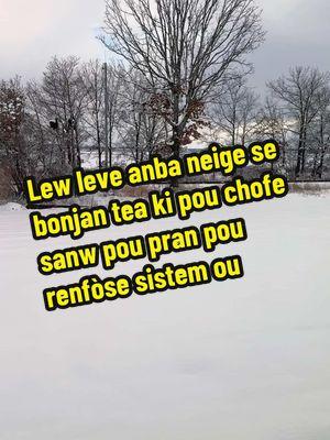 Lew leve anba neige ou bezwen yon bon tea pou chofe sanw, enben se sa cold and flu tea nou an edew fè, li edew ak grip tous, tet fe mal ,rum.#AnnyNaturalsFam #savonnatirel #cosmeticanatural #Fanmnanbiznis #AnnyNaturals #annynaturalsacademy #vinnaprannfèsavonnatirèl #onthisday 