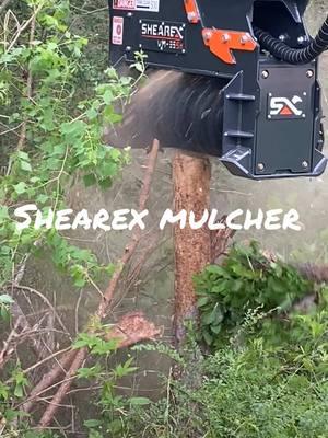 Shearex mulcher taking care of some overgrowth on property #tree #mulcher #work #propertymanagement #property #heavyequipment #clearing #cleanup #logging #arborist 