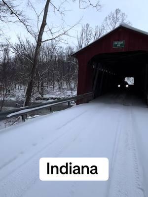 There’s a dude standing in the woods. #indiana #backroads #winter #snow #coveredbridge #oldbridge #fyp 