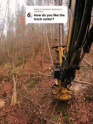 Track cutters are a awesome machine #foryourpage #tigercatforestry #saw #ballantinesawteeth #hardwood 