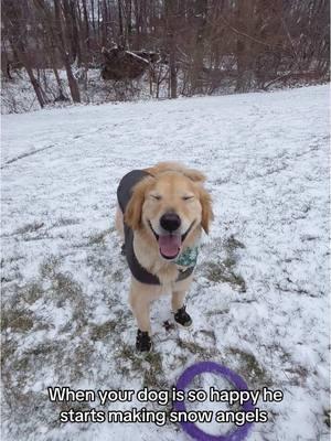 So happy to finally have snow! #happydog #snow #snowday #dogfun #goldenretriever #goldenretrieverlife #snowangel #zoomies #socute #doggo #dogoftiktok #dogtok #dogmom #lifeofadog #pup #fundog #snowday 