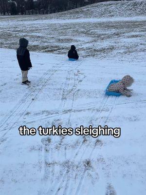 I went to go throw out the trash and the turkies followed me so we decided to go 🛷 with 1 inch of snow lmfao #sleighride #snow #sibblings #momof3 #kids #momlife #babies #walking #afos #babyazari #brothers 