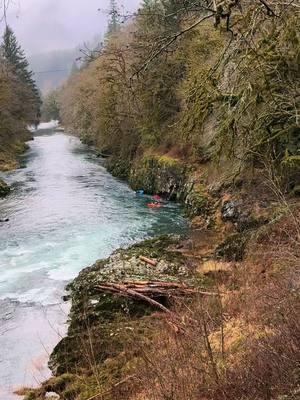 Adventures on the river🦋 #fyp #kayaking #wilson #eagleflyby #oregoncoast #peace #godscreation #river 