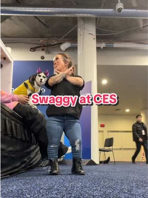 @SWAGGY WOLFDOG ™️💰 knows he’s the star 😅 #CES #Vegas #Swaggy