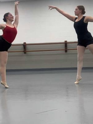 guess what song we danced to here! hint its something that you won’t expect! #fy #fyp #song #dance #dancers #duo #ballet #ballerina #2girlsenpointe 