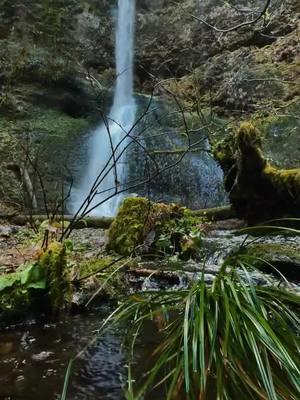 Maybe we’ll find each other again. And if we don’t?  We’ll both be okay. Even if it hurts.  #tiktokban #visualtherapy #silverfallsstatepark #pnw #oregon #cinematic #MentalHealth 