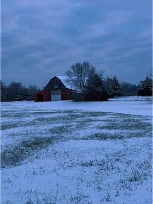 The farm covered in a blanket of snow at sunrise ❄️🩵❄️ #snow #snowfall #snowday #winterstorm #snowtok #clouds #bluesky #sunrise #sunrisefnaf #sunrisers #sunrisevibes #sunriseview #sunriselover #tennessee #skyline #nature #live #livestream #morningview #farmtok #farmtiktok #farmlife #farm #tennesseecheck #fyp #foryoupage #foryou #staywarm #staysafe #weekendvibes #muchlove #january 