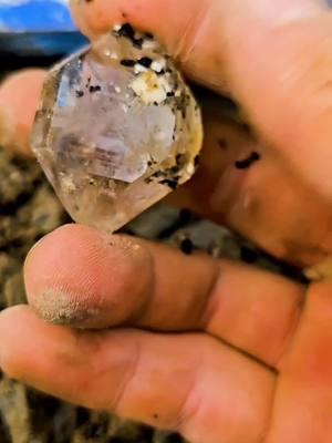 ‼️AMAZING‼️ Herkimer Diamond 💎 with Anthraxolite inclusions!  . . . . . . . . . . . . . . . .. . .. . . .. . . . . . . . . . . . . . . . . . .. . . ... .. . . . . .   . . .. . . . . . . . . . . . . . . . . . . . . . . . . . .   . #reels #reelsfb #thefinders #instagram  #crystals #Herkimerdiamonds #herkimer2025 #rocks #thefinders #crystalhunt #fyp #awesome  #rockhound #thefinders #amazing #beautiful #geology #newyork #foryou  #entertainment  #entertaining #foryoupage #quartz #crystalhunt #gem #discoveringminerals