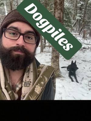 Dangerous to be human around here. Appreciate you, @5hahem #human #alive #person #real #heal #healthecycle #foryoupage #fyp #viral #snow #dogs #winter #nature #grow #community #accountability #fail #together #talk #advice #punisher #pain #hard #school #teacher #learn #dogpile #attack #cancel #dog #dogsoftiktok #dogs #community 