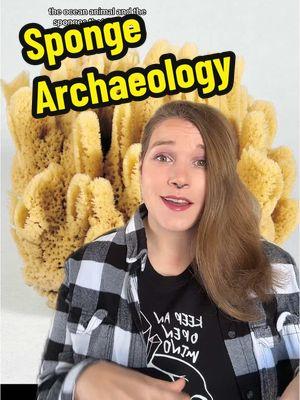 Soak up these facts #sponge #spongebob #history #archaeology #archaeologytiktok #archaeologist #marinebiology #greenscreen 