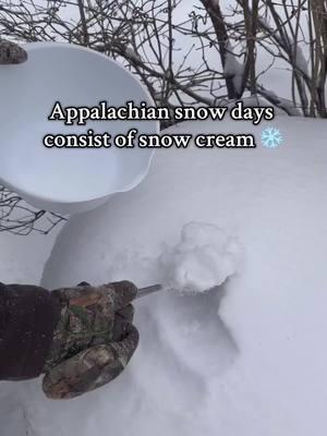 Throwback to last January in Appalachia!! The year me and @Reese Witherspoon ended up on the same news article for our snow cream! Snow cream was definitely a hit! Making snow cream was a HUGE core memory for myself and many others. #snowcream #snow #appalachia #easternkentucky #kentucky #606 #snowstorm 