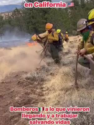 #noticias #foryou #foryoupage #fyp #parati #paratupagina #paratodos #informacion #bomberos #incendiosforestales #mexico #california #banderamexicana 