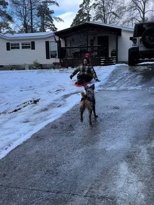 hi welcome to jackass 🌨️😂 #snowday #sledding #ooops 