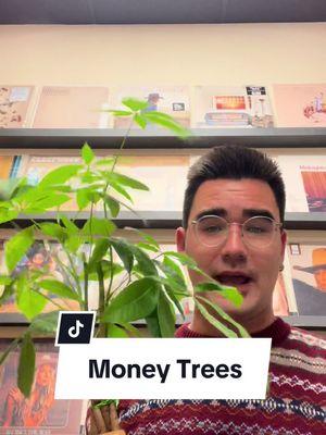 alex is learning so many things about plants and now you know the things too #moneytree #houseplants #indieearth 