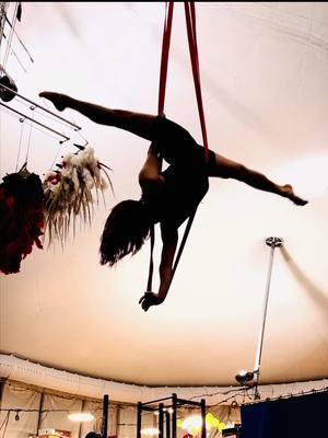 Improv!💥Being in the air feels the most natural:) body moves itself freely happily with the music✨ #dancingintheair #aerial #aerialdance #aerialtricks #aerialloops #aerialstraps #aeriallove #improvisation #improve #dancedance #bodyfitness #trainingmotivation #aerialtraining #aerialmovement #cirquedusoleil #circus #circusinspiration #circusperformer #circusinternational #danceimprov #movement #moveyourbody #エアリアル #エアリアルストラップ #体幹トレーニング #即興 #シルクドゥソレイユ #エクササイズ #ダンス #柔軟性 