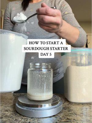 Replying to @Neps 🩵⸆⸉ Sourdough Starter Day 5! We’re so close to the finish line #sourdough #sourdoughstarter #howtostartasourdoughstarter #sourdoughstartertutorial 