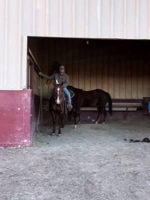 Evening time shenanigans after we all went for a ride! Ps youngest fell asleep #eveningtmroutine #chores #ridinghorses #beautifulweather #justranchin #fyp 