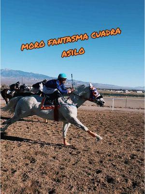 SEÑORES LA ABIERTA DE 7 caballos gana el moro cudra asilo ..#caballos #abierta #carrilwhiteglove #carreras @Cuadra Sinaloa 