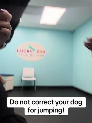 #fyp #dogsoftiktok #dogtrainer #positivereinforcement #fearfree #puppytips #germanshepherd 