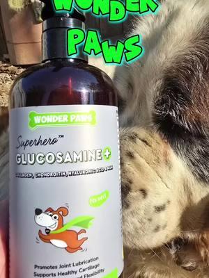 Cuída la Salud de tu Mascota🐾 @mywonderpaws   #mywonderpaws  #wonderpaws  #wonderpawspartner #dogmom  #dogtreats #dogtreatsfordays  #healthypup #dogsupplements  #healthydogs #healthydog #acidohialuronico #colageno #collagendrink  #magnesiumdeficiency #dogsoftiktokviral #momdog  #dogmomlife  #dogmoms #dogloversoftiktok  #doglife  #pethonestyvitamins #petstory  #dogsoftiktokviral #vet  #healthy #saludable   #caninos #cadera #articulation #articulaciones  #productosnaturales  #omega #productosveterinarios  #lunasiria01🌙  #trending #gif  #giftideas  #regaloscreativos  #omgpage  #godloves  #dog #amorpets 