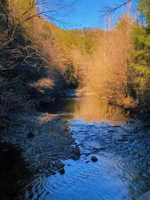 #appalachia #creekwater #creekwater #bluegrass #chrisstapleton #peacefulplace #nature #exploring #creektherapy #creekfishin 