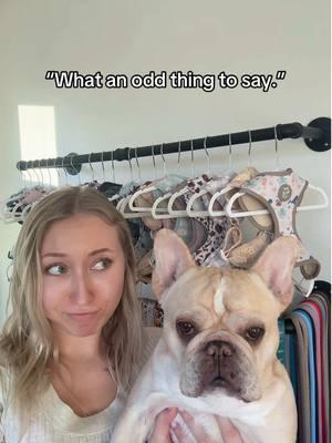 He DEF knows 👀🙂‍↕️ #relatabledogowner #frenchielife #dogharnesses 