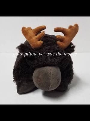 I’ve had him forever we live in maine now that was his dream  #pillowpet #moose 