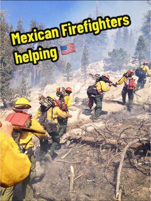 #mexicanfirefighters  #lafires  #mexicantiktok #fyp #losangeles❤️🇲🇽 🇺🇸