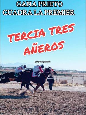 GALA LA PREMIER CON EL PRIETO LLA QUE TOPADORA NO SACA LA FAJA DE VENTAJA #CARRERAS #CABALLOS #CARRILES #MEXICO @Cuadra Sinaloa @Richie dominguez 