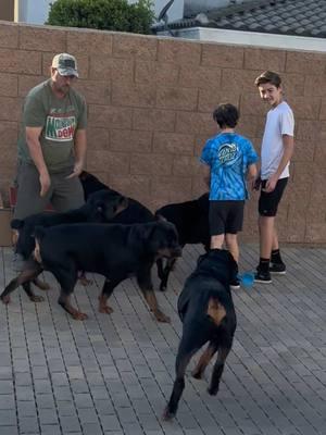 Thanks @Tom & kids for dropping off some toys for the 5 Rs! They played so hard we had to tell them to BREATHE!😂🏀🏀🏀🏀🏀🐶🐶🐶🐶🐶We really enjoyed you guys!💯#fyp #influencer #dc #rottweilerlovers #dog #foryourpage #california #rottweiler #georgia #Love #family #rottweilers #rottweilersoftiktok #rottweilerlover #foryoupages 