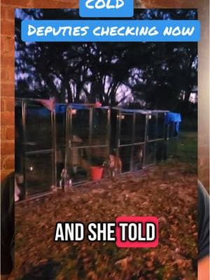 DOGS IN THE COLD - ADVOCATES CONCERNED.  Who are you anyway? And who are you to be calling me up? Do you have 93 dogs in your rescue? Would you step up and take 25 dogs? No, but I've been an animal advocate for 30 years as well as a TV reporter as well. So I know what I'm talking about. I've got the experience. So who are you to ask that? That's not very... For you to call me up and judge me... I'm not judging you. Excuse me. Talk to my lawyer, you bastard, and stop talking to these two gay guys I fired. That was Heather Larson. She runs the rescue group, Love My Pitties. And I called her to ask about this: more than three dozen rescue dogs in Levy County, Florida, in the middle of the woods in these outdoor kennels. And tonight? A freeze warning for the area. Larson, I'm told, threatened the animal advocates who took the videos after they called the cops. Telling them, quote: "Stop calling the cops on me, you expletive. Expletive. My dogs are fine." So I called, and she told me about the rescue, and I listened and then asked this: Are you concerned about them being outside with the temperatures expected to dip below freezing tonight? First of all, temperatures have been below freezing every night for the two weeks. And second of all, no, I'm actually not. Half of these pups have never been in a house in their lives, ever. And once again, they're feral. They have igloos, tarps, they have hay. They're on rubber mats. They get walked every day. They're not suffering. I also spoke with the Levy County Sheriff's Office. The deputy telling me the dogs are fine. They may not have heaters, but they have food, water, and shelter, and that they're okay. The dogs appeared to be extremely healthy. No safety concerns. The sheriff's office reassuring me they'll be okay. But will they? With the cold and also after Larson's verbal tirade attacking me when I never provoked her. As always, you can have your voice heard. The contact info is in the script. Levy County Sheriff's Office: 352.486.5111 Also - the director of Levy County Animal Services: cannon-brandy@levycounty.org Levy County Animal Services: 352.486.5138 cannon-brandy@levycounty.org #DOG #DOGS #DOGSOFTIKTOK #RESUEDOGS #COLDWEATHER #ANIMALS #ANIMALSOFTIKTOK #LEVYCOUNTY #FYP