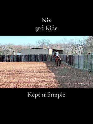 @Angell Performance Horses put Nix’s 3rd ride on today! He’s so incredibly beautiful. Keeping it simple with very clear asks he is familiar with from the ground. He started with a bit of a ‘tude today, being very worried about the boys in the pasture but the session ended fantastic with him connecting fully  #horses #horse #coltstarting #ararabianupdate #ararabians #arkansasarabians #pheonix #nix #ansata 