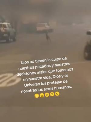 Los animales no tienen la culpa de sufrir por culpa de nosotros, seamos más conscientes por qué estamos destruyendo su mundo y el nuestro. #fyp #fypシ #fypシ゚viral #fypage #fyppppppppppppppppppppppp #parati #paratii #paratiiiiiiiiiiiiiiiiiiiiiiiiiiiiiii #paratiiiiiiiiiiiiiiiiiiiiiiiiiiiiiii #paratipage #foryoupage #foryourpage #for #foryou #aninales #losangeles #newjersey #destrucciontotal #destrucciontotaldelatierra #naturaleza #todoelmundo #vida 