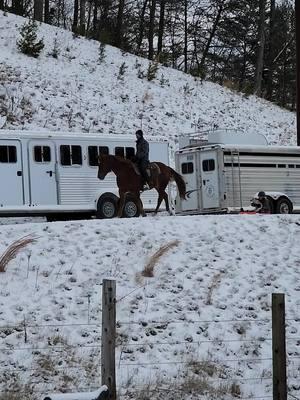 Having a little fun in the snow!  #luckyahorsemanship #studhorse #stud  #coltstarter #horsetrainer #noregrets #stayhumble #itsallornothing #trusttheprocess #lovetheprocess #giveityourall #neverstop #buildconfidence #consistencyiskey #smallsteps #noexcuses #dreambig #real #justbeyou 