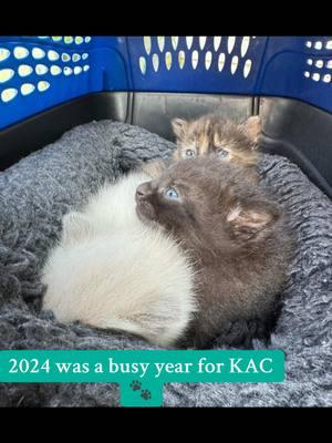 🐾KAC 2024 Recap🐾 #tnr #trapneuterreturn #spayneuter #spayandneuter #spaythemall #communitycats #cats #tnrsaveslives #itshiptobetipped