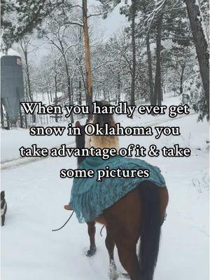 Snow in Oklahoma #snow #oklahoma #oklahomaphotographer #fyp #kelleymaephotography #fypシ゚viral #2025 #beautifullife #memories #oklahomasnow 