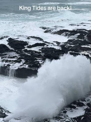 📍 Yachats, OR  King Tides are back!!  #kingtide #kingtides #oregoncoast #kingtide2025 #kingtides2025 #yachatsoregon #yachats 