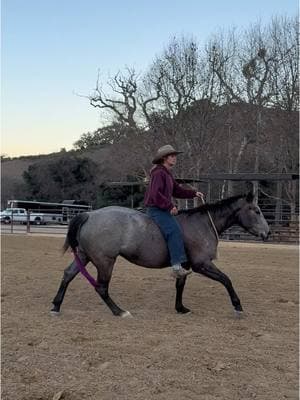 Replying to @I have no name. Thank you very much! I am very proud of her #bareback #bridleless #equestrian #horsetraining 