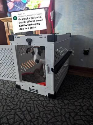 Replying to @777.power_woman.777Absolutely tortured. #crate #dogtok #torture #hounds #safe #safetyfirst #akc #cratetrain 