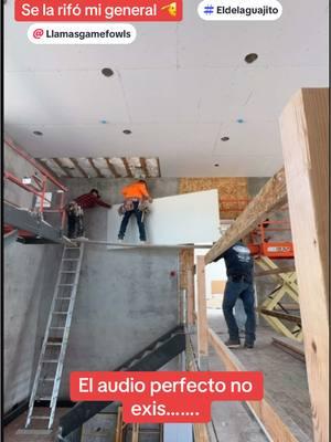 #chirrokeros #chirrokerosperros #drywall #drywaller #viral #viralTiktok #fyp #fypツ #construction #