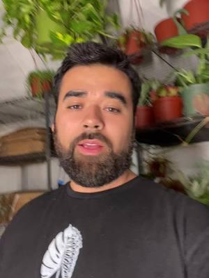 Check out my livestream if you love houseplants and succulents #plants #tropicalplants #succulents #cactus