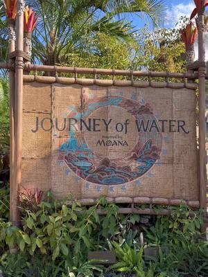 Journey of the water was simply beautiful we enjoyed every bit of it even the photo pass at the end it’s a must go #journeyofwater #moana #disneyparks #tiktokfamily #familytiktok #fyp@Disney Parks 