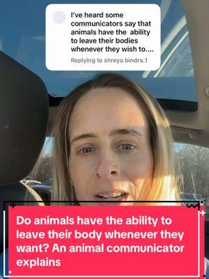 Do animals have the ability to leave their body whenever they want? An animal communicator explains. #animalcommunication #animalcommunicator #petpsychic #petpsychicreading #petcommunicator #petcommunication #animalpsychic #petmedium #caninecommunication #felinecommunication #talktoanimals