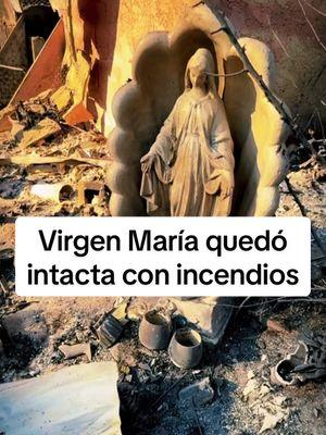 Está Virgen María quedó intacta durante los incendios que causaron grandes daños en Altadena, California  #virgenmaria #altadenacalifornia #incendios #fires #breakingnews #davidvaladez 